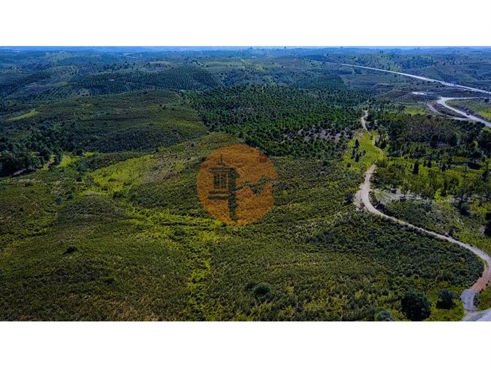 Image No.12-Terrain à vendre à Castro Marim