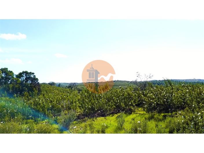 Image No.7-Terrain à vendre à Castro Marim