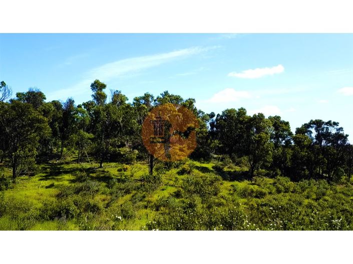 Image No.8-Terrain à vendre à Castro Marim