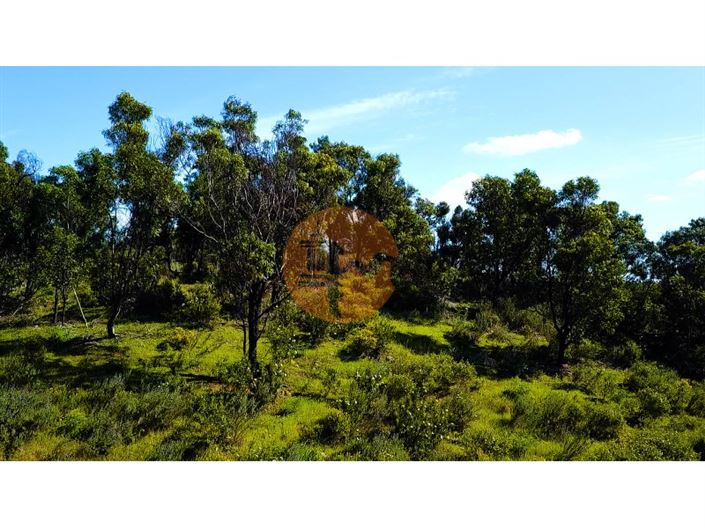 Image No.9-Terrain à vendre à Castro Marim