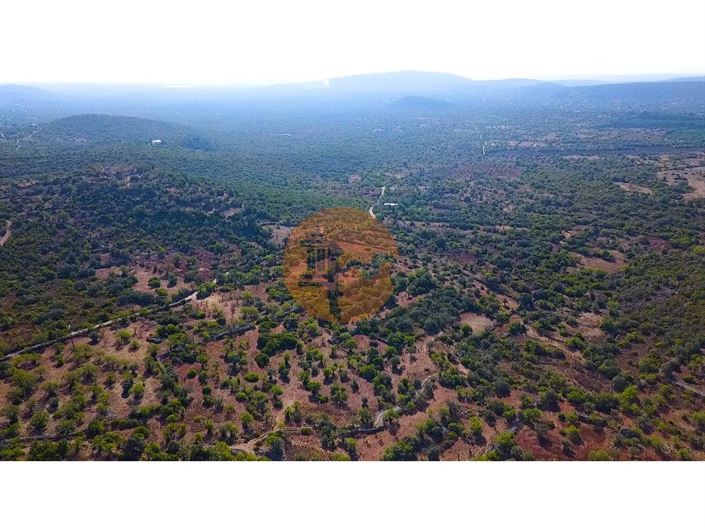 Image No.16-Plot for sale