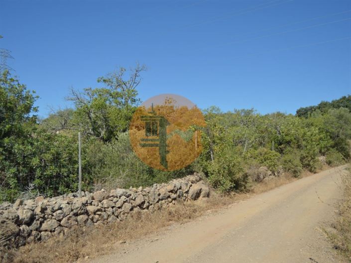 Image No.3-Plot for sale