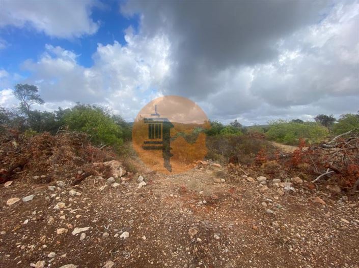 Image No.4-Plot for sale