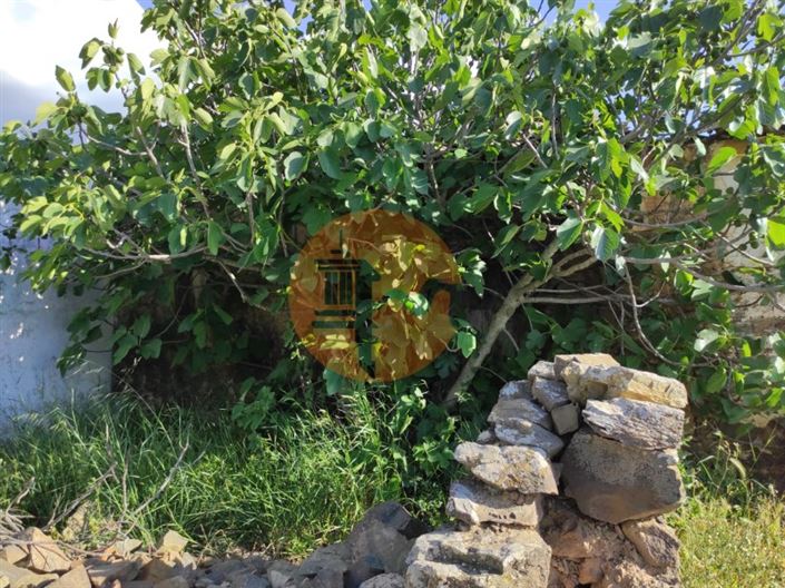 Image No.22-Maison de 3 chambres à vendre à Castro Marim