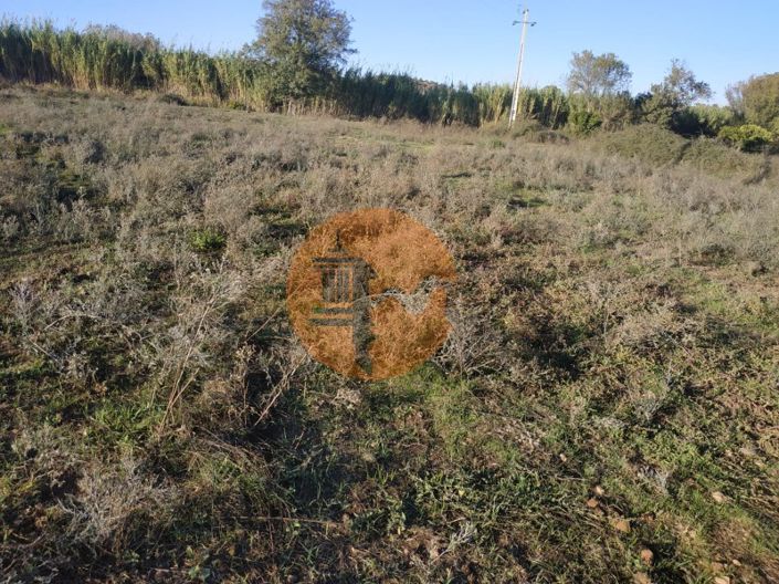 Image No.24-Plot for sale