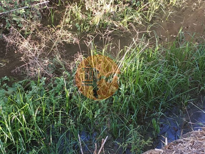 Image No.29-Plot for sale