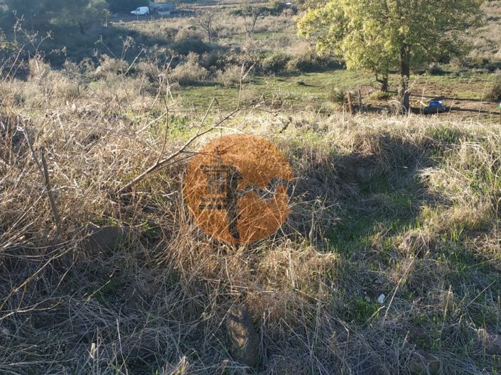 Image No.37-Plot for sale