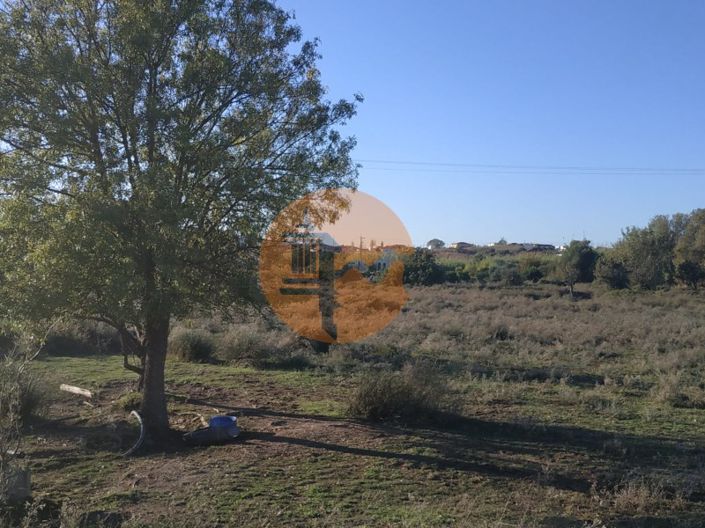 Image No.39-Plot for sale