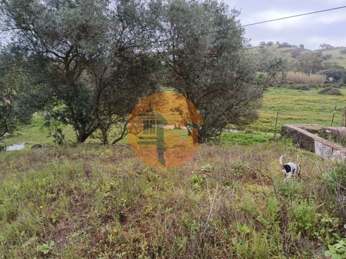 Image No.40-Plot for sale