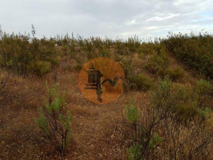 Image No.58-Plot for sale