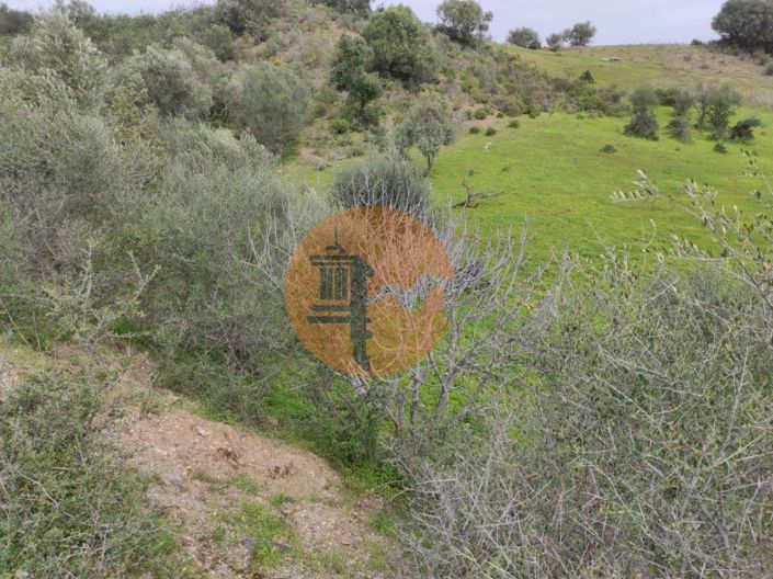 Image No.10-Terrain à vendre à Castro Marim