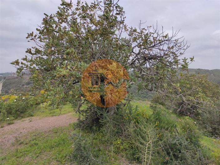 Image No.14-Terrain à vendre à Castro Marim