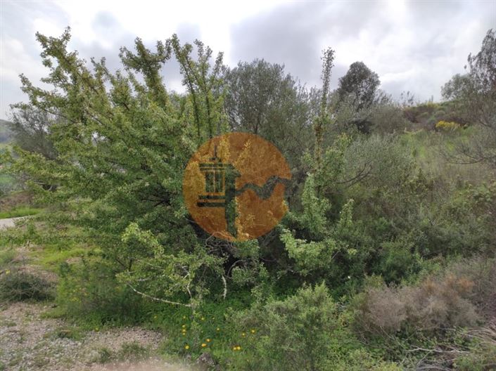 Image No.18-Terrain à vendre à Castro Marim