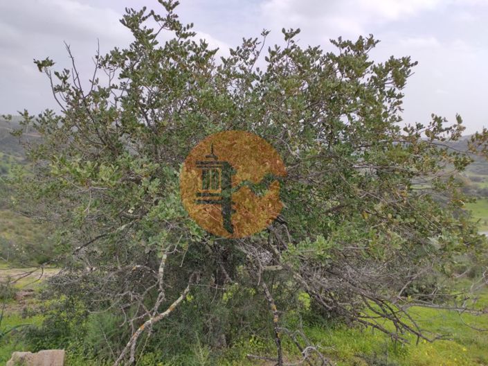 Image No.23-Terrain à vendre à Castro Marim