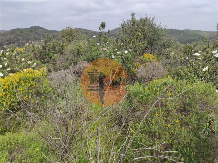 Image No.28-Terrain à vendre à Castro Marim