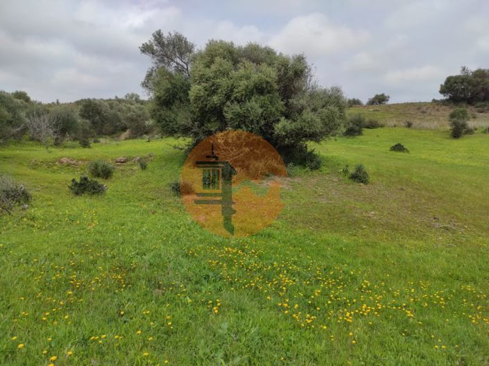 Image No.30-Terrain à vendre à Castro Marim