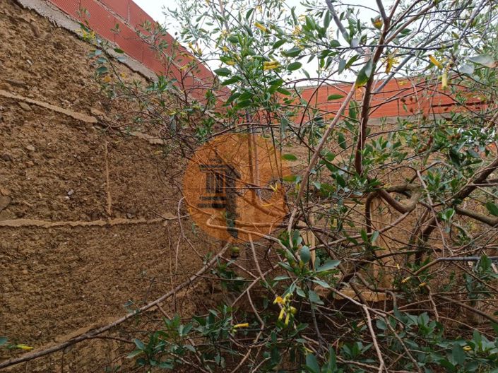 Image No.16-Maison de 1 chambre à vendre à Mértola