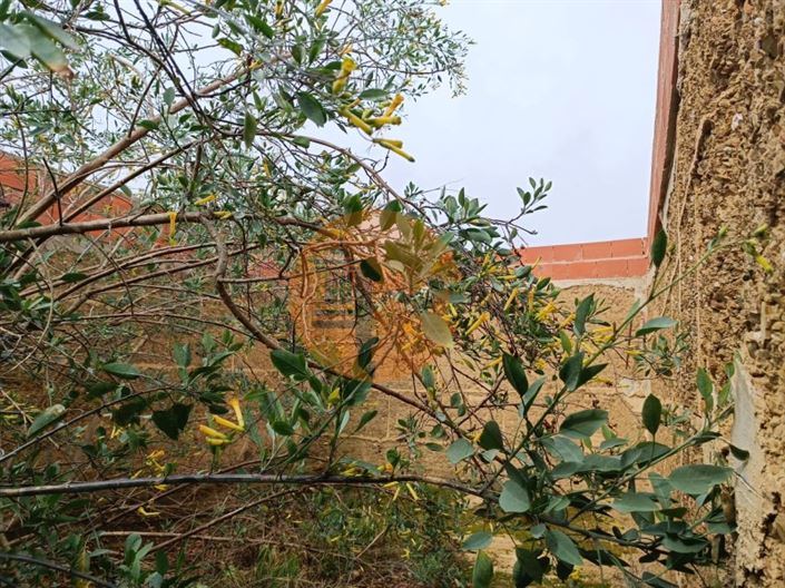 Image No.17-Maison de 1 chambre à vendre à Mértola