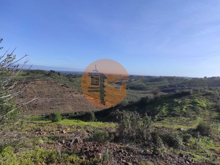 Image No.17-Plot for sale