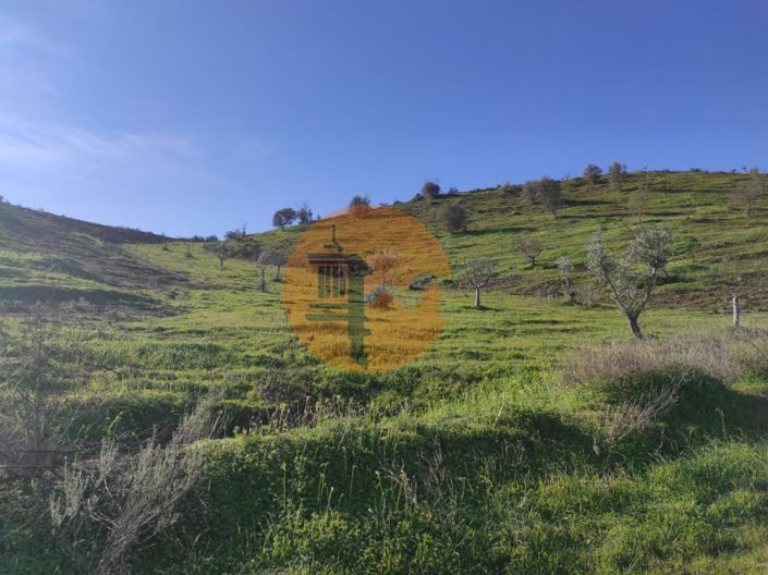 Image No.2-Plot for sale