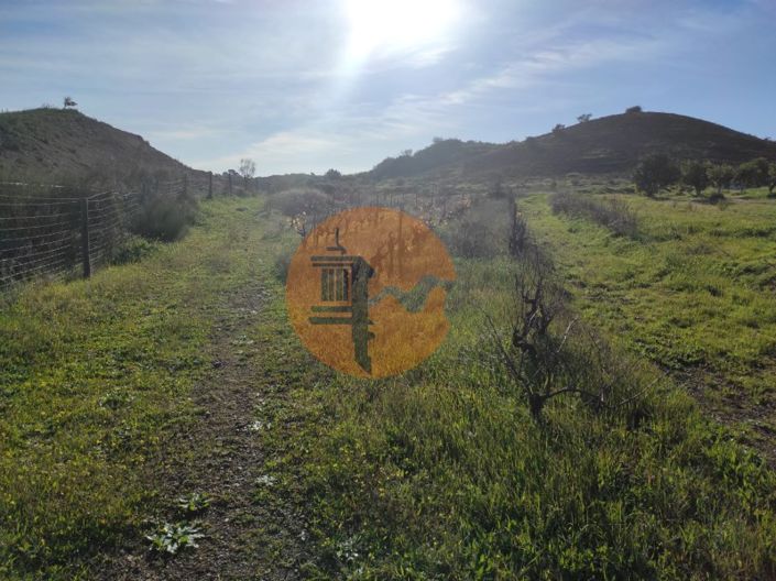 Image No.26-Plot for sale