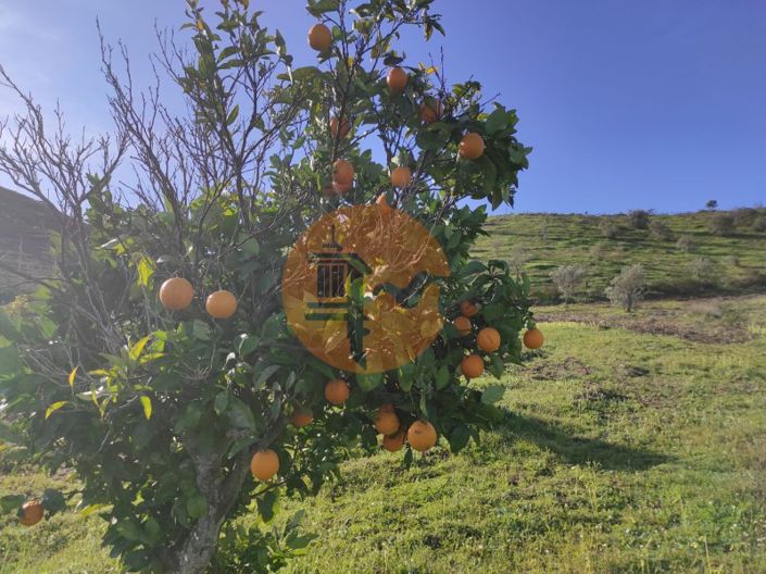 Image No.27-Plot for sale