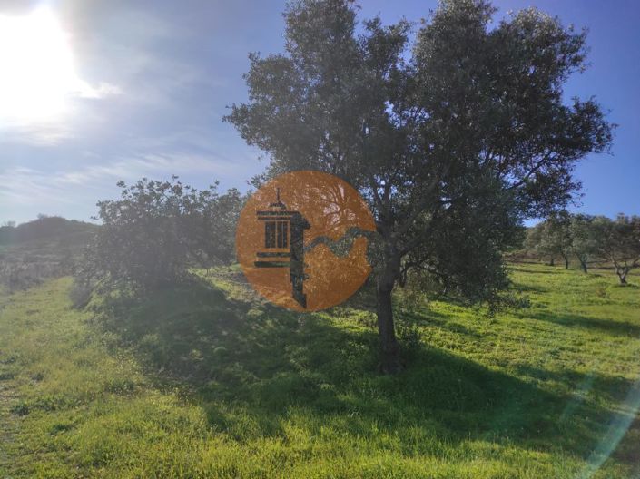 Image No.29-Plot for sale