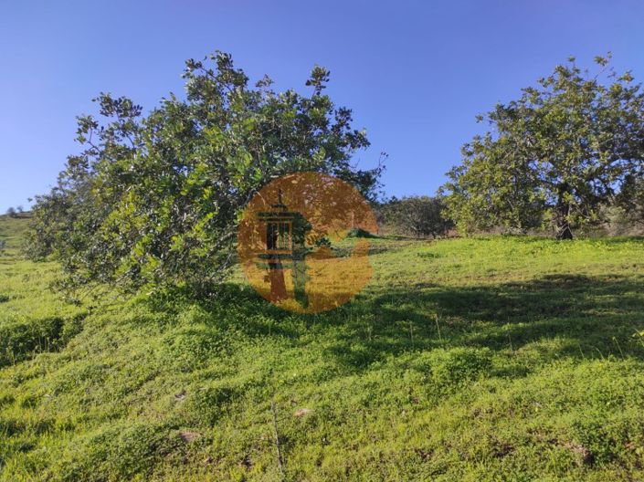 Image No.33-Plot for sale