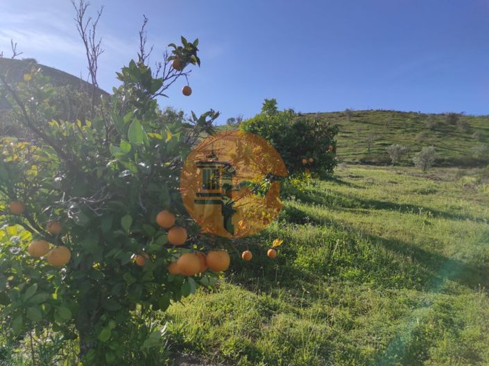 Image No.4-Plot for sale