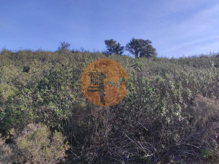 Image No.7-Plot for sale