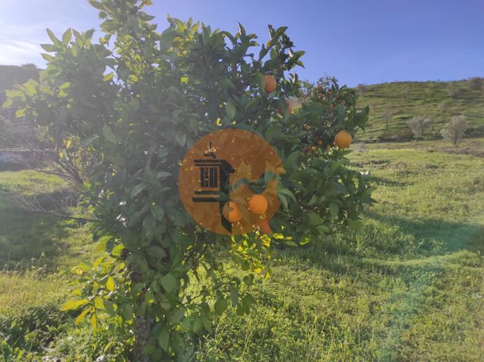 Image No.9-Plot for sale