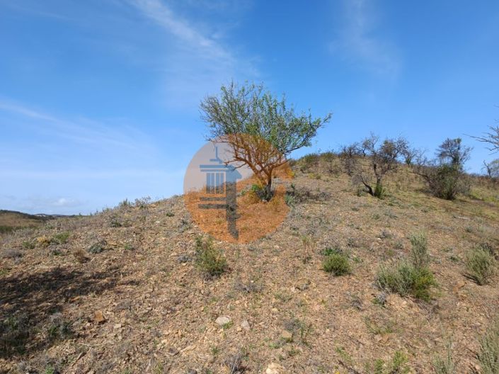 Image No.12-Plot for sale