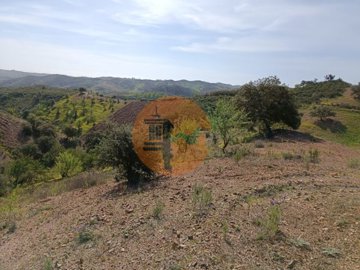 id6e9b5601-0000-0500-0000-000010b99074