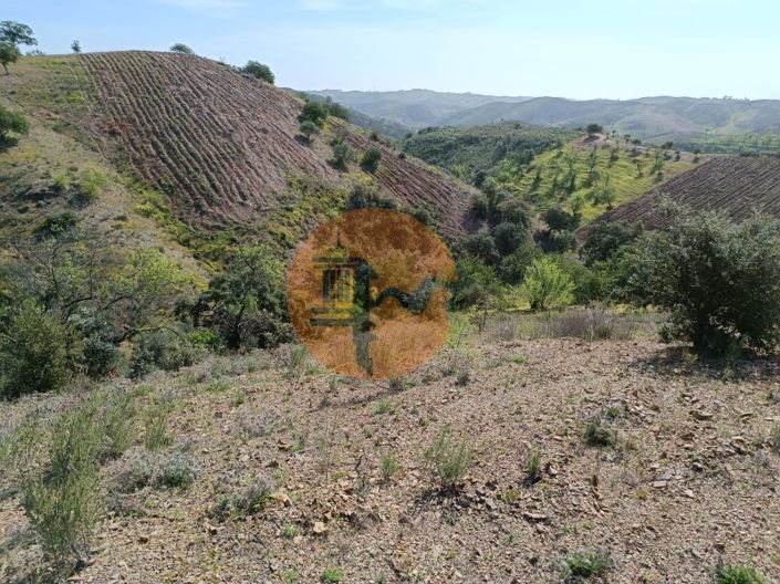 Image No.16-Plot for sale