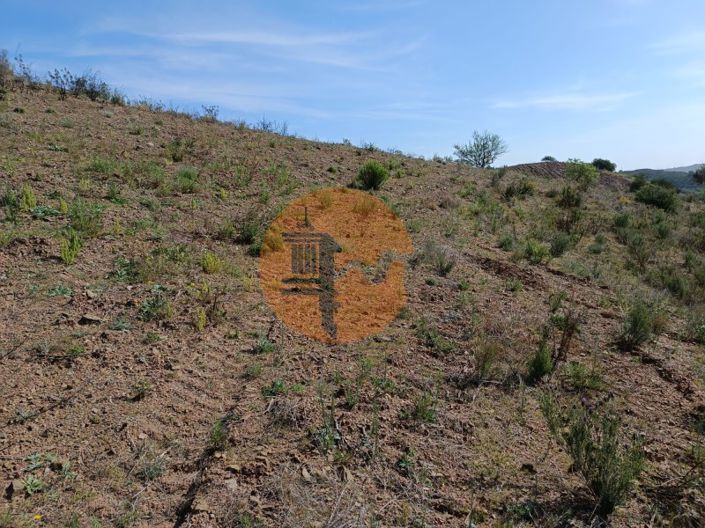 Image No.28-Plot for sale