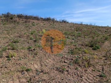 id6e9b5601-0000-0500-0000-000010b9906b