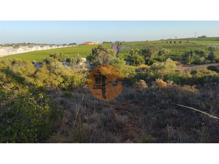 Image No.17-Plot for sale