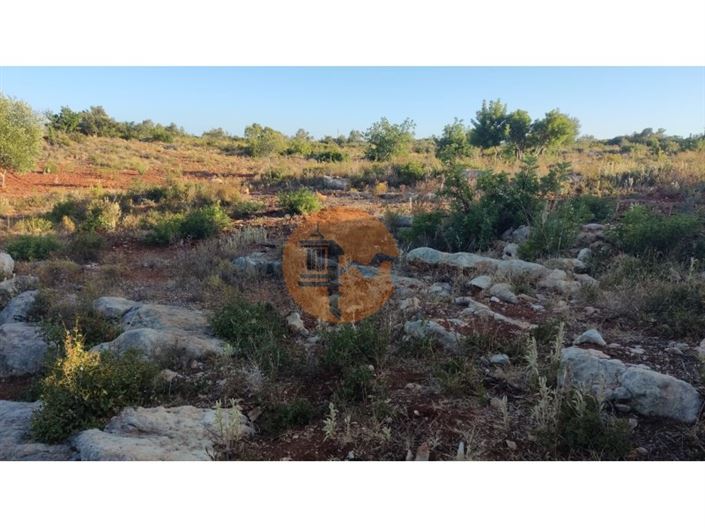 Image No.3-Plot for sale