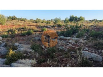 id30245e01-0000-0500-0000-000010bef793