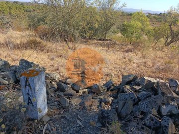 id357e5c01-0000-0500-0000-000010b96abb