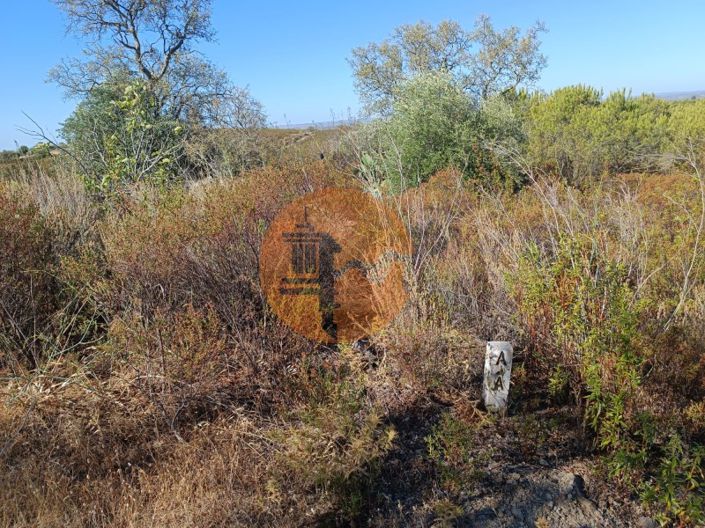 Image No.5-Plot for sale