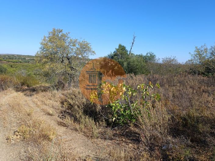 Image No.9-Plot for sale