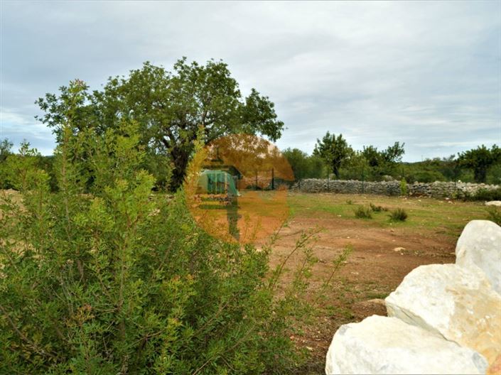 Image No.11-Plot for sale