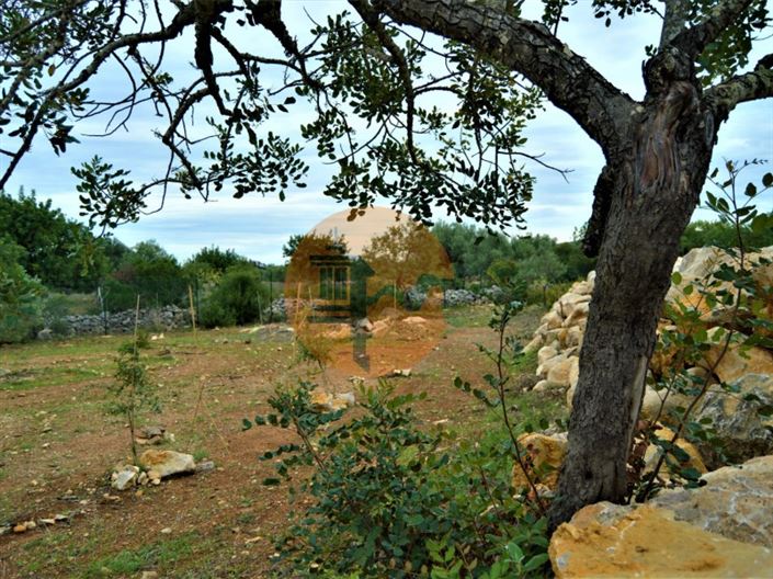 Image No.14-Plot for sale