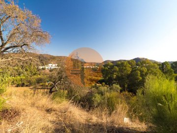 id85976001-0000-0500-0000-000010b75633