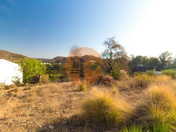 id85976001-0000-0500-0000-000010b75635