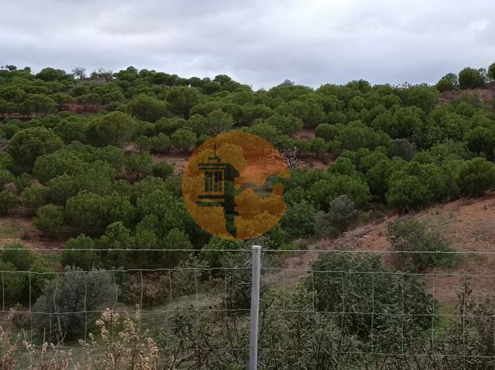 Image No.11-Plot for sale