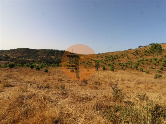 Image No.5-Plot for sale