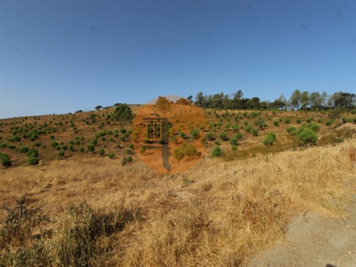 Image No.6-Plot for sale