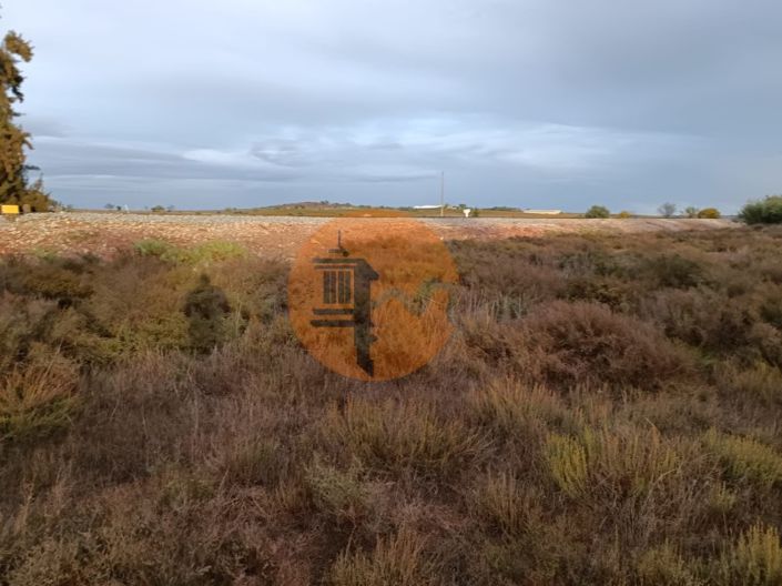 Image No.11-Plot for sale